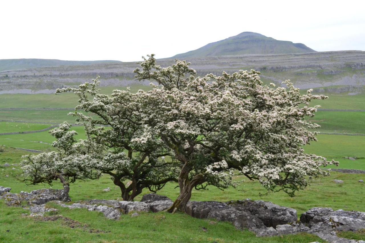Dalecote Barn Bed & Breakfast Ingleton  Eksteriør billede